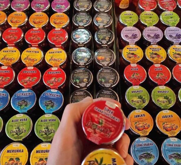 ペンション Penzion Adler