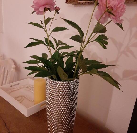 膳宿费 Piccola Italia Casa Racovita