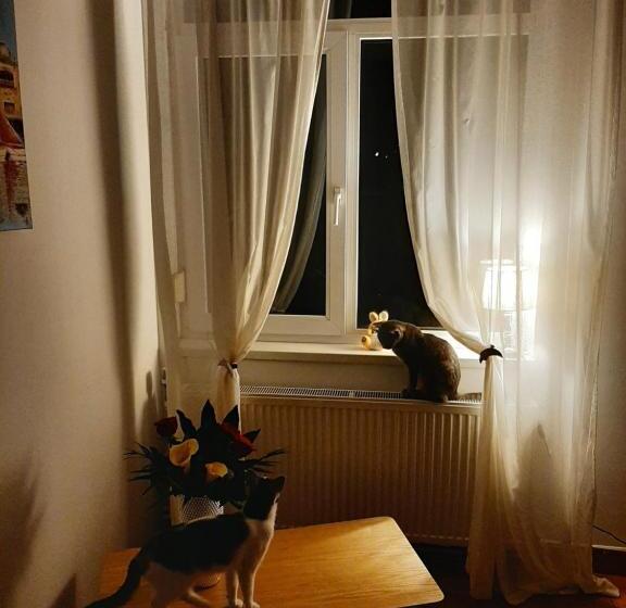 膳宿费 Piccola Italia Casa Racovita