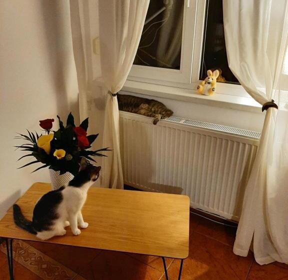 膳宿费 Piccola Italia Casa Racovita