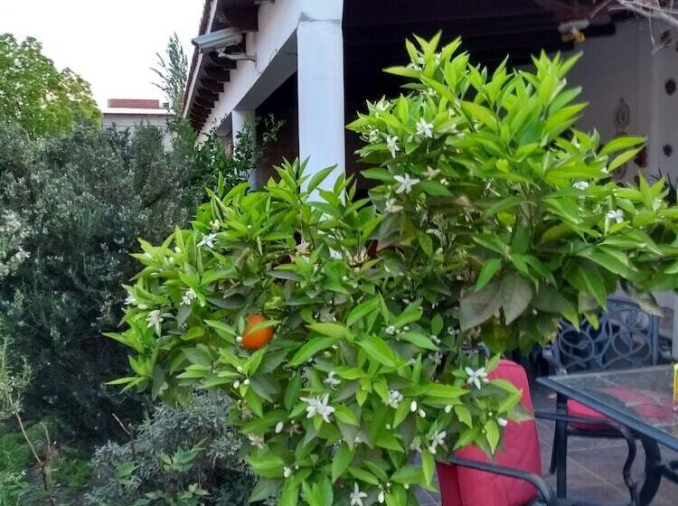 ペンション Portal Del Santo