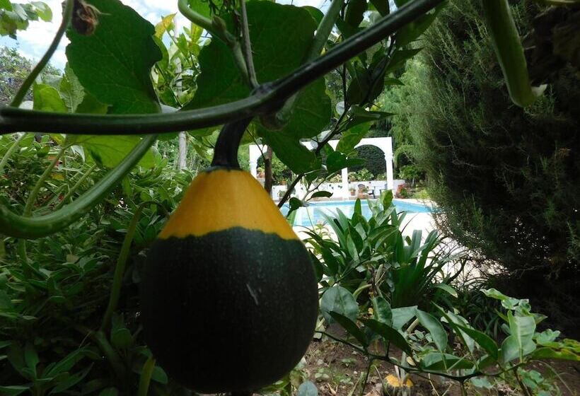 ペンション Portal Del Santo