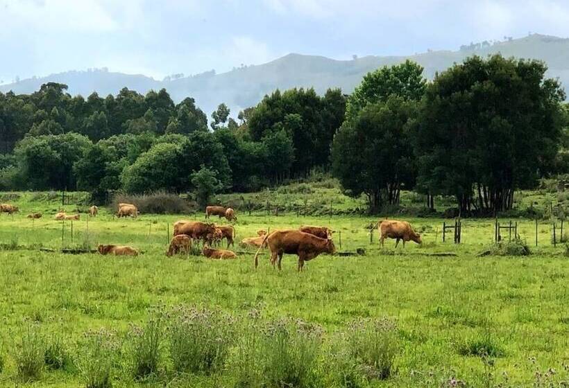 膳宿费 Rural Solar Das Arcadas