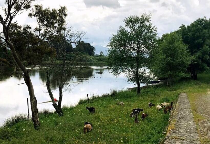 膳宿费 Rural Solar Das Arcadas