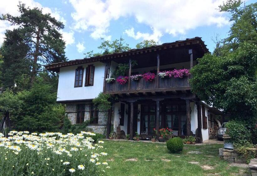 פנסיון Stefanina Guesthouse