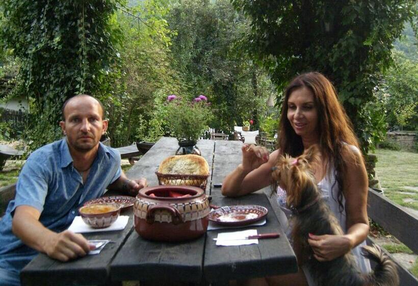 פנסיון Stefanina Guesthouse