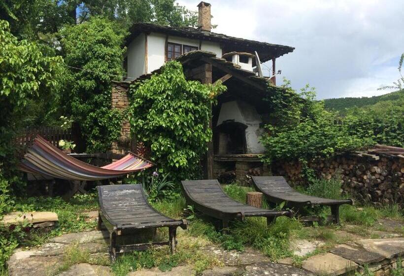 פנסיון Stefanina Guesthouse