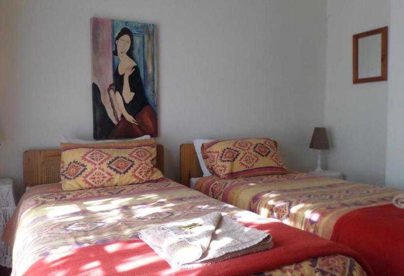 膳宿费 The Wild Fig