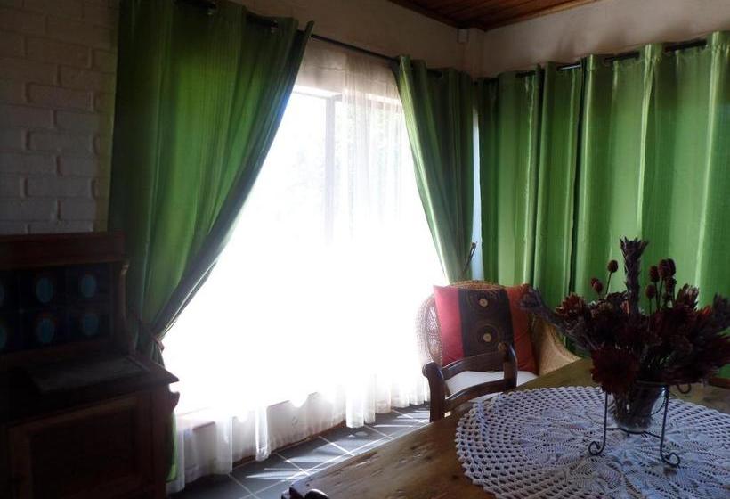 膳宿费 The Wild Fig