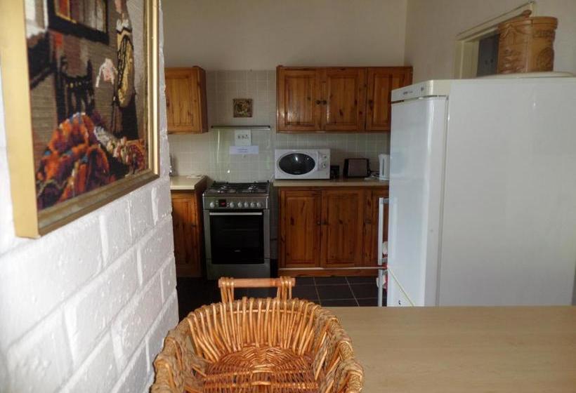 膳宿费 The Wild Fig