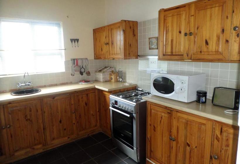 膳宿费 The Wild Fig