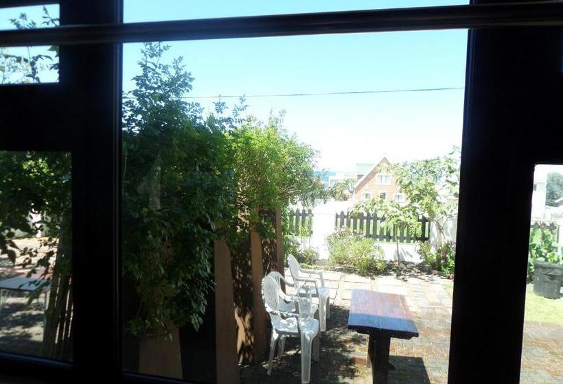 膳宿费 The Wild Fig