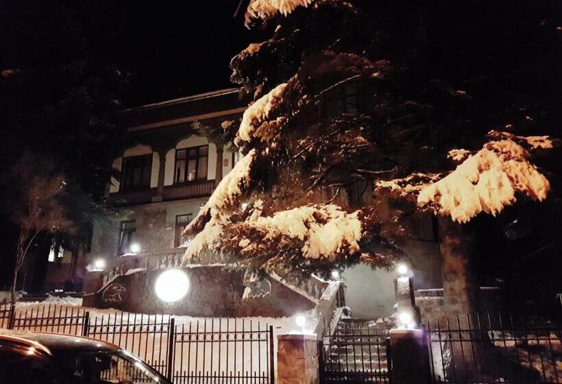 ペンション Vila Acvila