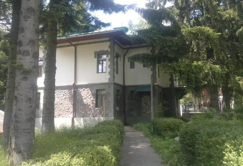 ペンション Vila Acvila