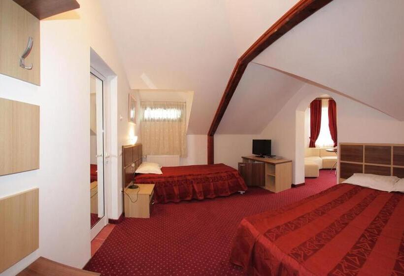 ペンション Vila Acvila