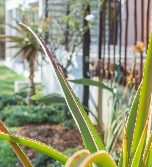 بنسيون The Wild Peach   Menlyn