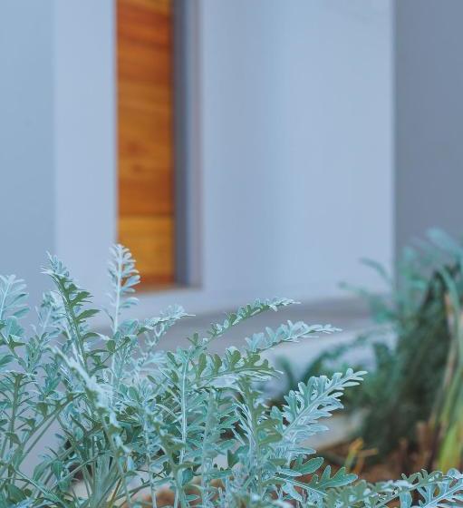 بنسيون The Wild Peach   Menlyn