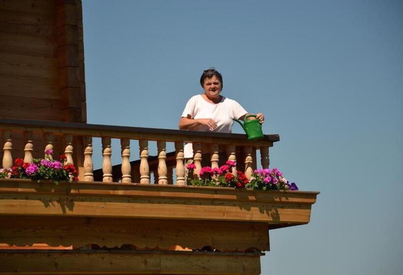 פנסיון Winklerhof Ebbs