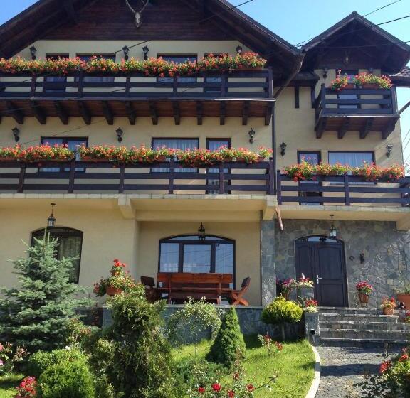 Pension Casa Ali & Andu