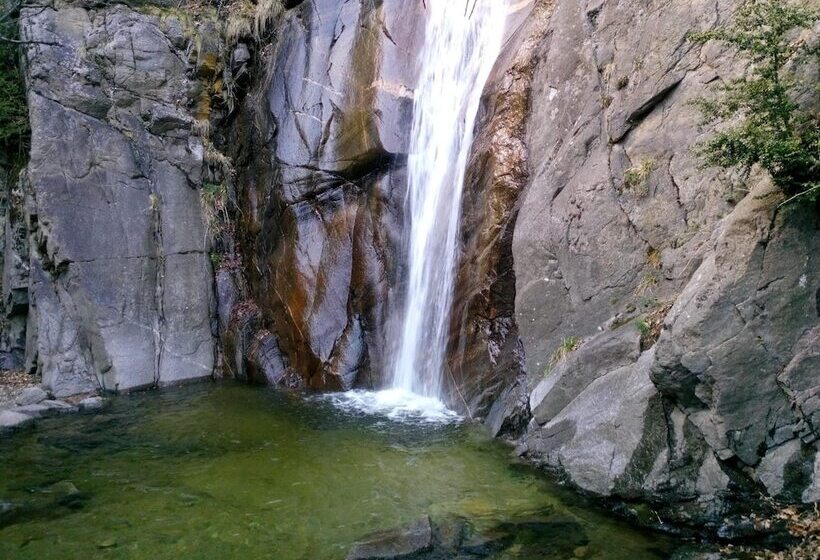 Pension Fonda Vilalta