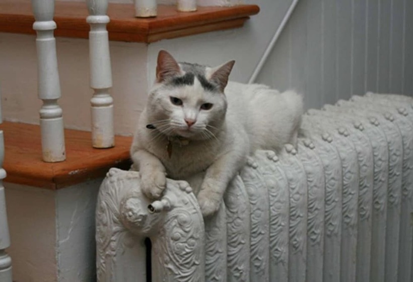 The Morrison House Bed And Breakfast