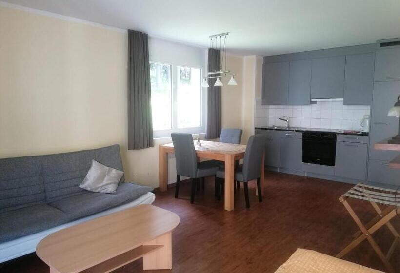 Aladin Apartments St Moritz