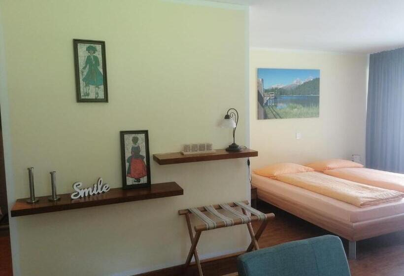 Aladin Apartments St Moritz