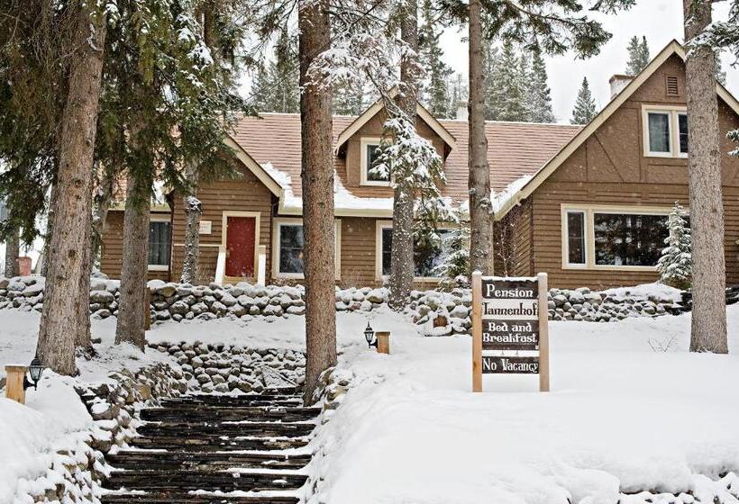 فندق صغير Banff Boutique Inn   Adults Only
