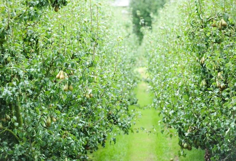 旅馆 De Watertoren