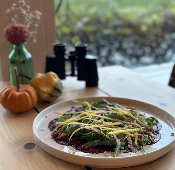 旅馆 De Watertoren