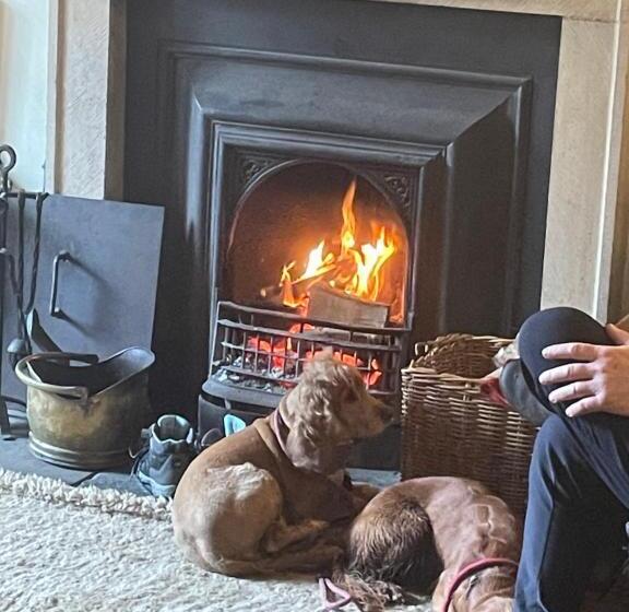 Общежитие The Bridge Inn