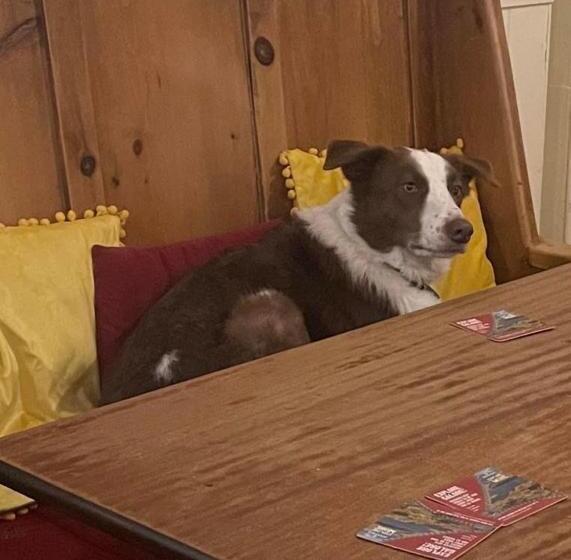 Общежитие The Bridge Inn