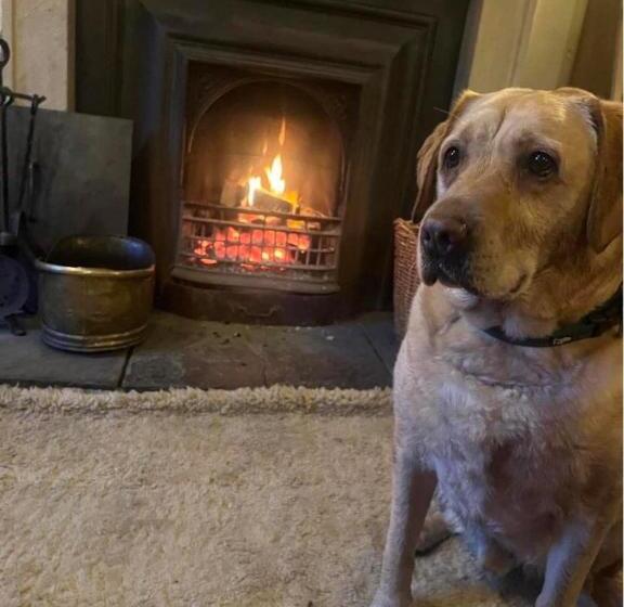 Общежитие The Bridge Inn