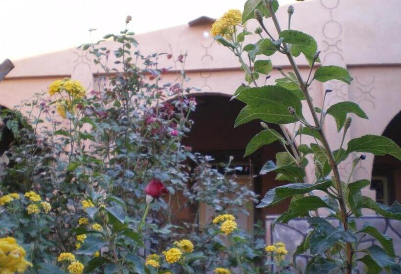 تختخواب و صبحانه Maison D  Hôtes Ait Hmid