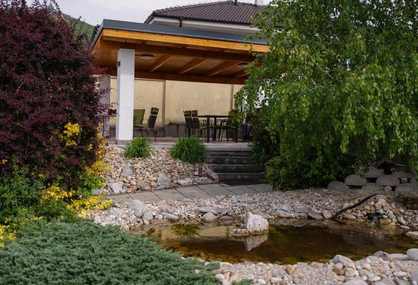 Bed and Breakfast Penzion Tofi