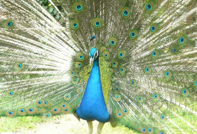 민박 Villa Tranquillité