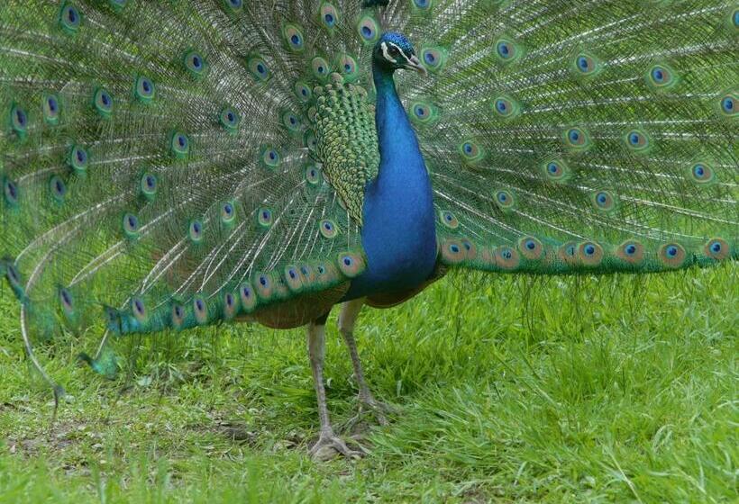 민박 Villa Tranquillité