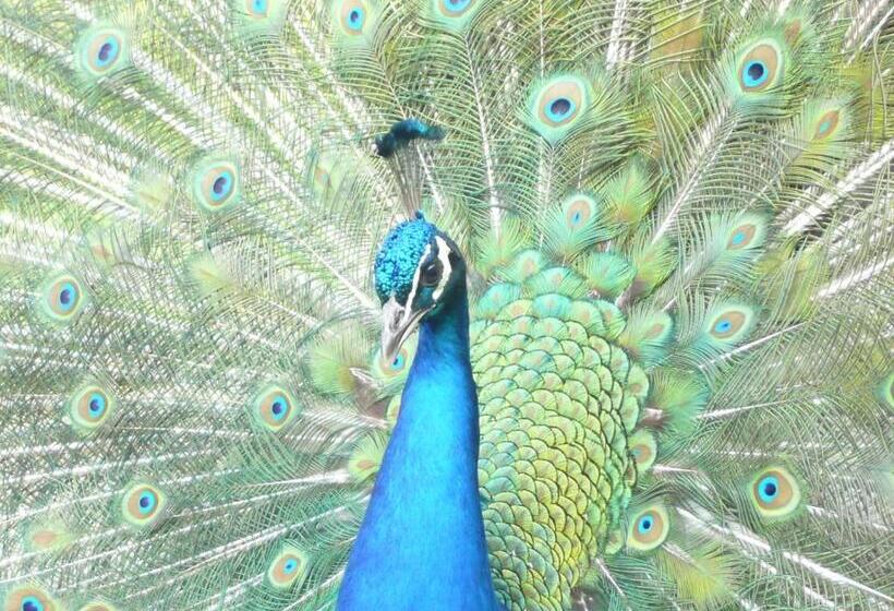 민박 Villa Tranquillité