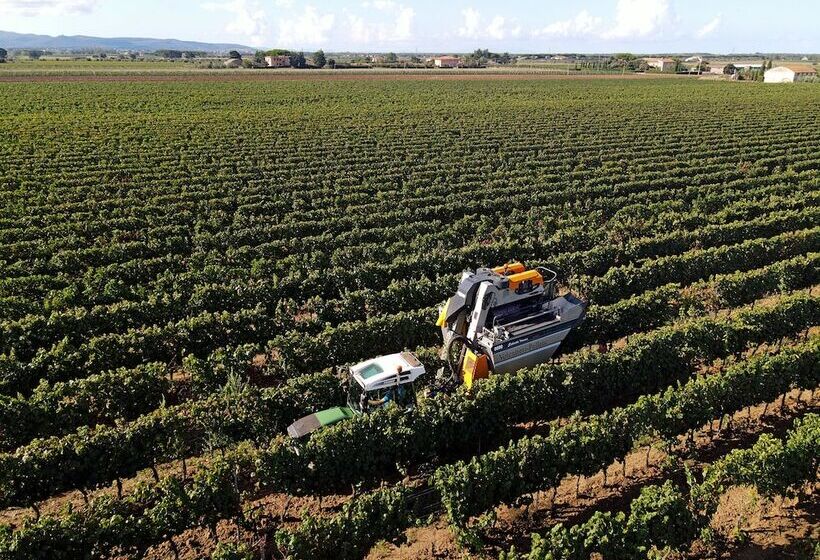 فندق Agriturismo Il Pelago