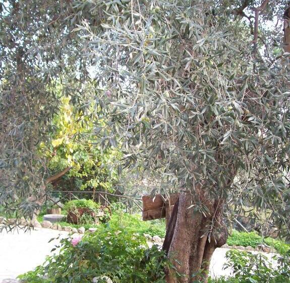 فندق Azienda Agrituristica Biologica Il Querceto