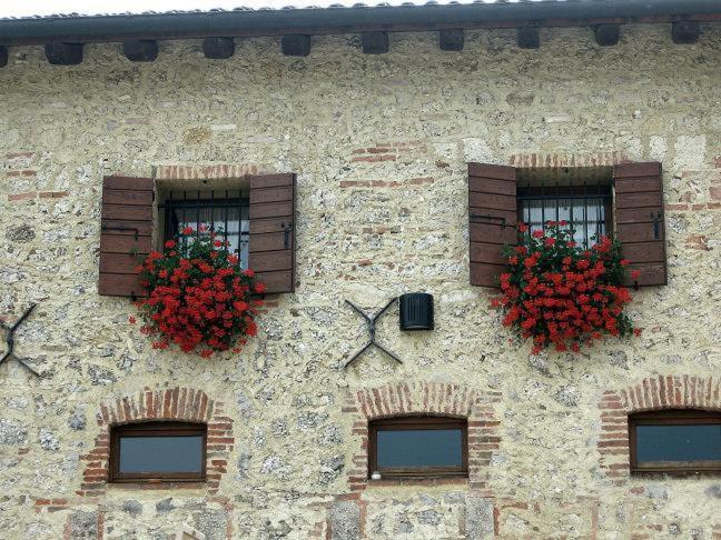 فندق Azienda Agrituristica Calronche