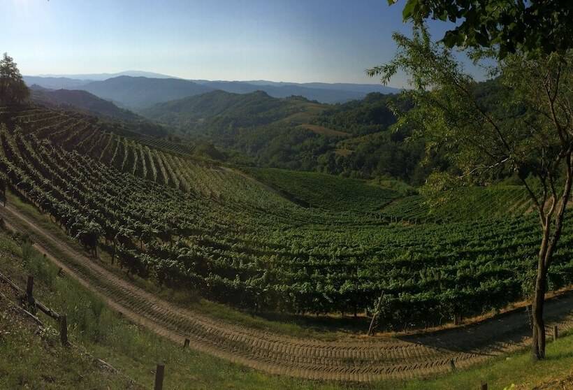 Отель Cascina Bertolotto Wine Resort