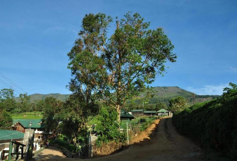 هتل Destiny The Farm Resort