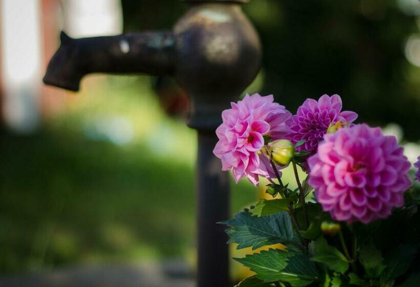 בית מלון כפרי Lemettilä Countryside Accommodation