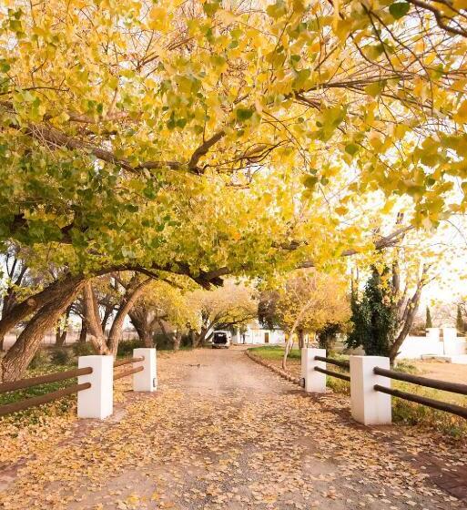 酒店 New Holme Nature Lodge