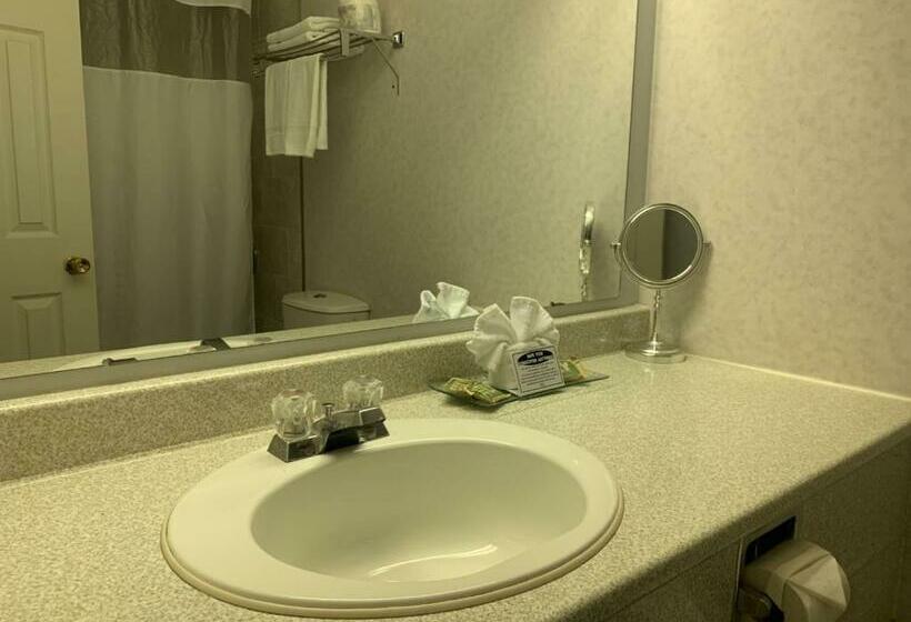 汽车旅馆 Bancroft Inn & Suites