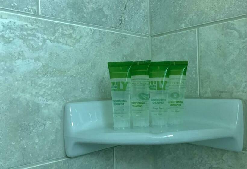 汽车旅馆 Bancroft Inn & Suites