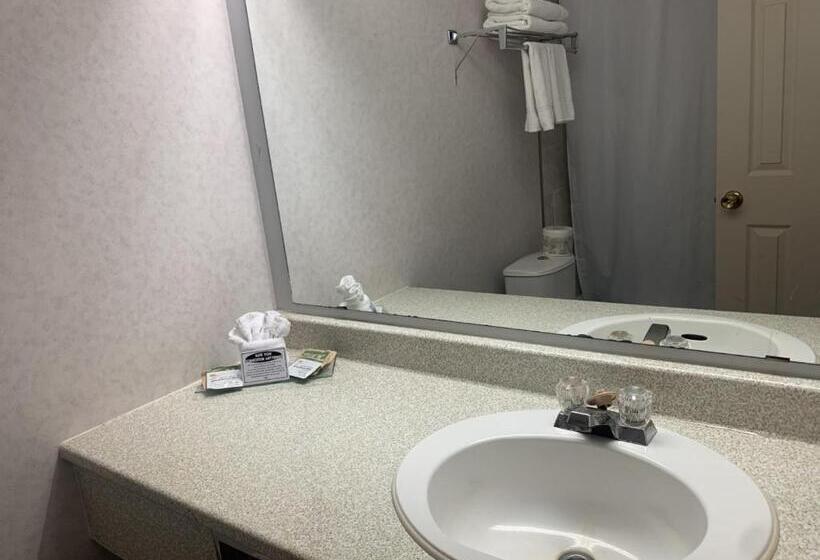 汽车旅馆 Bancroft Inn & Suites