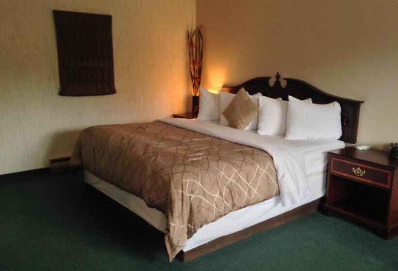 汽车旅馆 Bancroft Inn & Suites