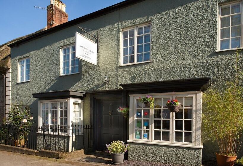 بنسيون Ammonite Lodge